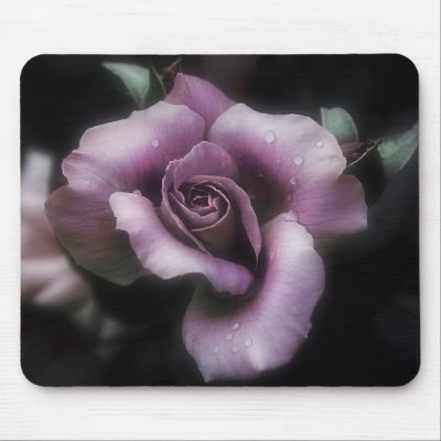 Antique Rose Mouse Mats by lucindawind
