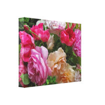Antique Roses