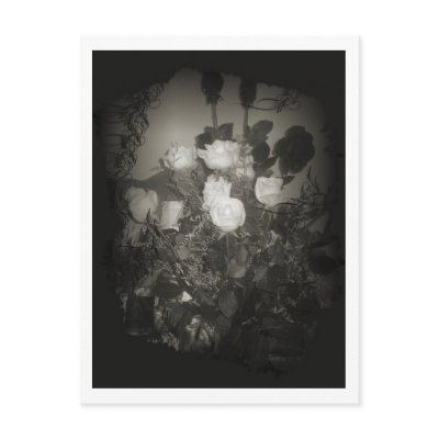 Antique roses Postcard by Absinthia