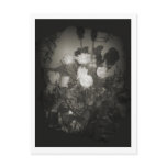 Antique roses Postcard