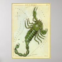 Antique Scorpio, Scorpion, Signs of the Zodiac Posters