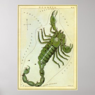 Antique Scorpio, Scorpion, Signs of the Zodiac Posters by YesterdayCafe