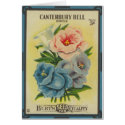Antique Seed Packet: Canterbury Bells cards