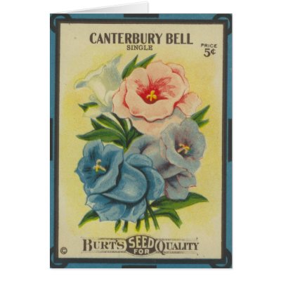 Antique Seed Packet: Canterbury Bells Cards by botanicalblooms