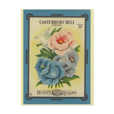 Antique Seed Packet: Canterbury Bells Post Card by botanicalblooms