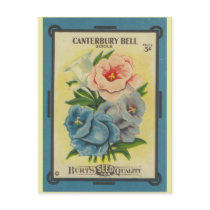 Antique Seed Packet: Canterbury Bells Post Card