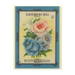 Antique Seed Packet: Canterbury Bells postcards