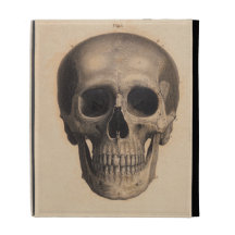 Antique Skull Illustration Caseable Case iPad Folio Cover