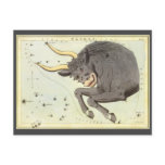 Antique Taurus, Bull, Signs of the Zodiac Post Cards