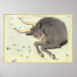 Antique Taurus, Bull, Signs of the Zodiac Poster