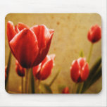 Antique Tulips Mousepad