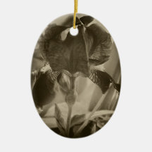 Antiqued Purple Iris 1 Ornaments