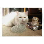 Antoinette & Annie Card