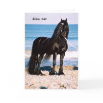 Anton At the Beach Greeting Card