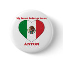 Anton buttons