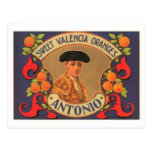 Antonio Brand Sweet Valencia Oranges Vintage Crate Post Cards