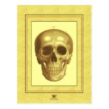 Antque Skull Post Cards