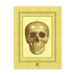 Antque Skull Post Cards