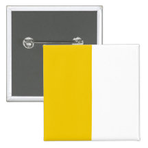 Antrim, United Kingdom flag Pins
