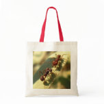 Ants & Attitude - Custom Tote Bag