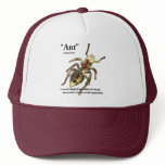 Ants & Attitude - Hat #3