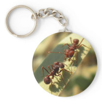 Ants & Attitude - Keychain #3