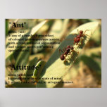 Ants & Attitude - Poster #2