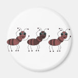 ANTS REFRIGERATOR MAGNET