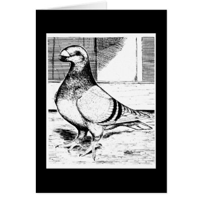 Antwerp Long Faced 1980 Greeting Card by diane_jacky