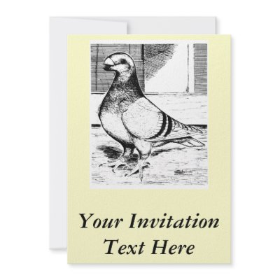 Antwerp Long Faced 1980 Personalized Announcement by diane_jacky