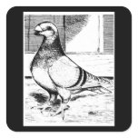 Antwerp Long Faced 1980 stickers