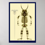 anubis posters