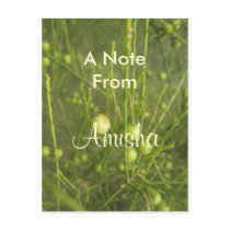 Anusha Post Cards