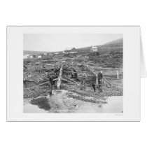 Anvil Creek Gold Mine Alaska 1916 Cards