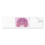 Anxiety Disorder Bumper Sticker