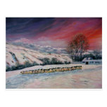 Any Dale in Yorkshire Postcard