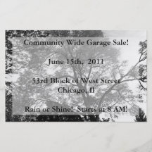 Any Event Scenic Flyer