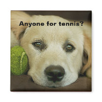 Anyone for tennis, golden retriever. refrigerator magnet