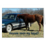 Anyone seen my keys? Car and Horse Humour Card