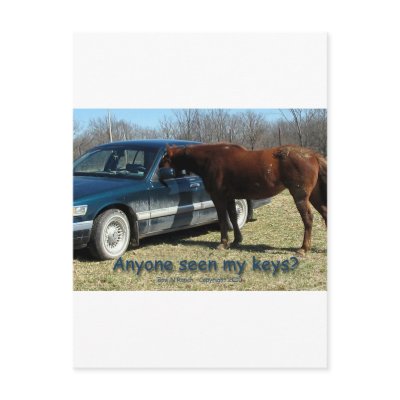 Anyone seen my keys? Car and Horse Humour Post Cards by BowNRanch