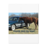 Anyone seen my keys? Car and Horse Humour postcards
