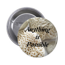 Anything is Possible button