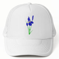 ap-flowers-iris