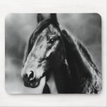 Apache horses mouse pad