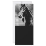Apache horses personalized rack card