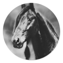 Apache horses stickers