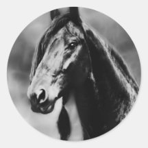 Apache horses stickers