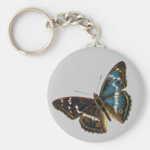 Apatura iris male key chains