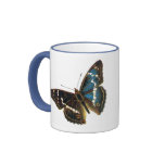 Apatura iris male coffee mugs