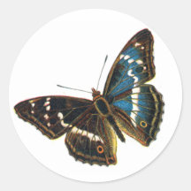 Apatura iris male round stickers
